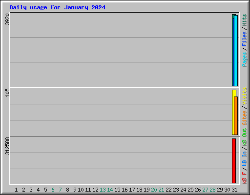 Daily usage for January 2024