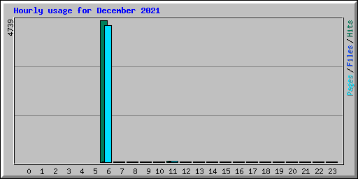 Hourly usage for December 2021