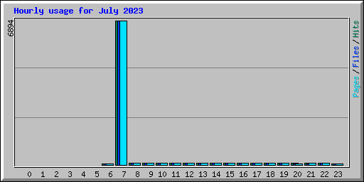 Hourly usage for July 2023