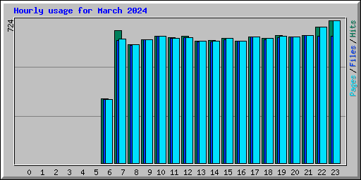 Hourly usage for March 2024