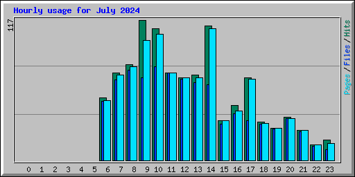 Hourly usage for July 2024