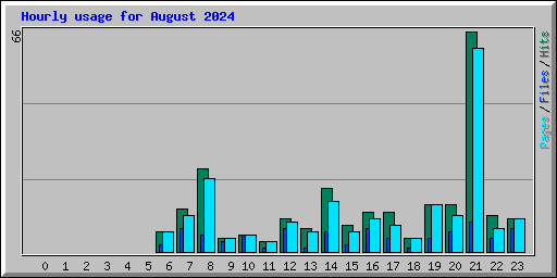 Hourly usage for August 2024