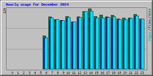 Hourly usage for December 2024
