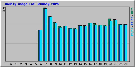 Hourly usage for January 2025