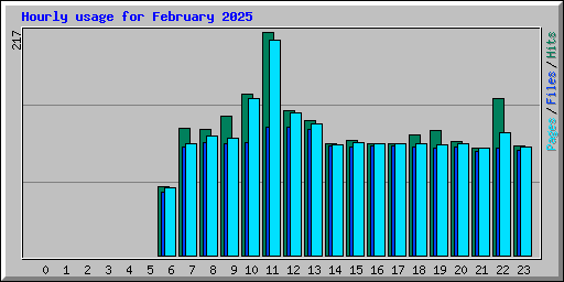 Hourly usage for February 2025