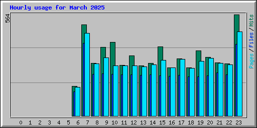 Hourly usage for March 2025