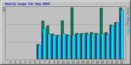 Hourly usage for May 2025