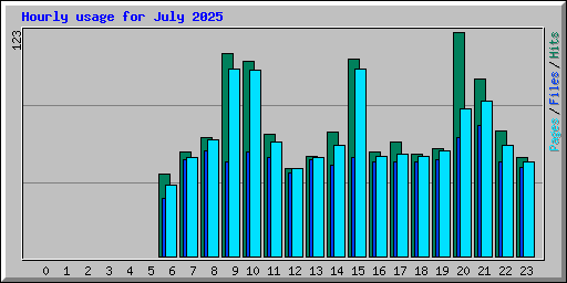 Hourly usage for July 2025