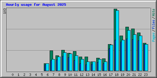 Hourly usage for August 2025