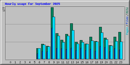Hourly usage for September 2025