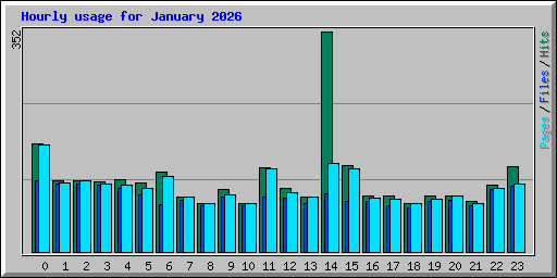 Hourly usage for January 2026